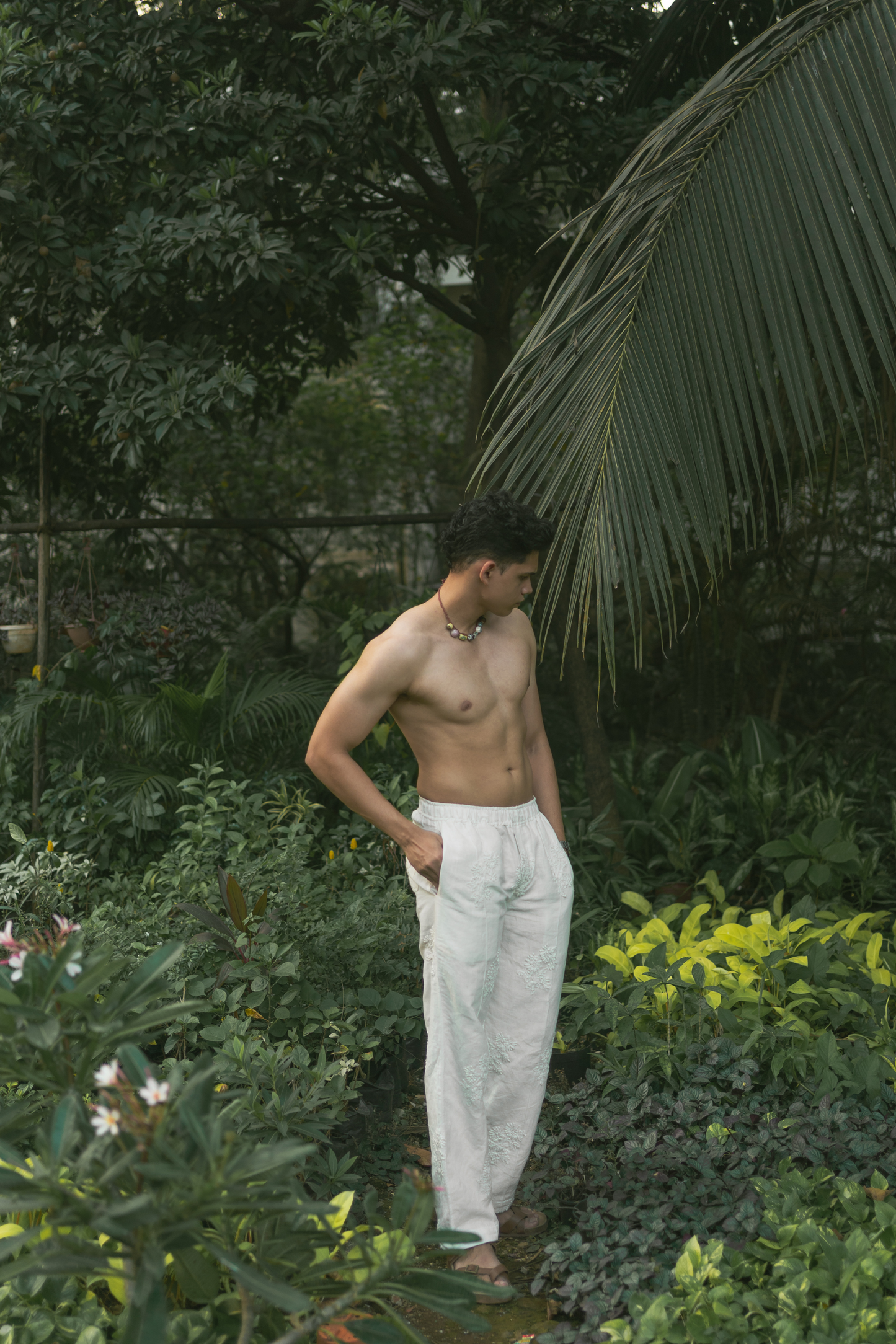 Safed Pants