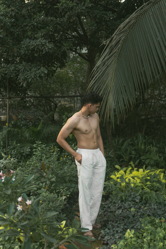 Safed Pants
